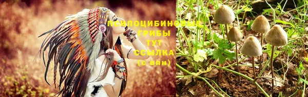 кокс Аркадак
