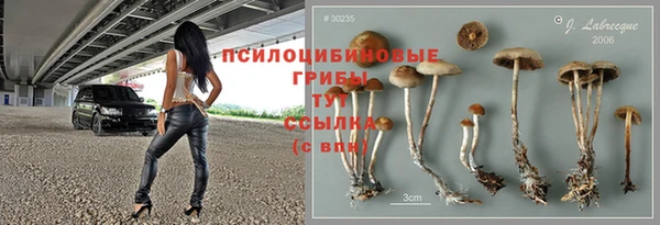 СК Армянск